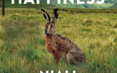 “This is Happiness” by Niall Williams