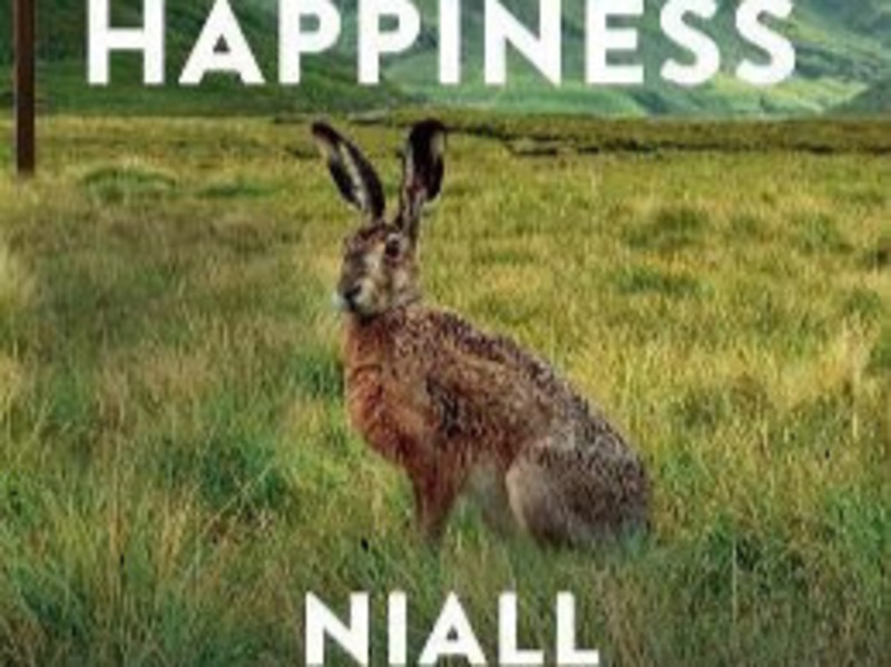 “This is Happiness” by Niall Williams